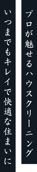 プロが魅せるハウスクリーニングいつまでもキレイで快適な住まいに